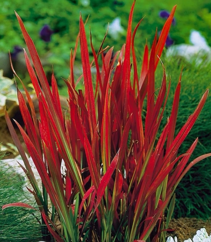 fractured-plant-pot-1